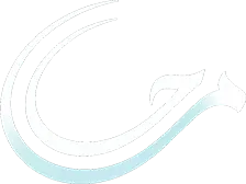 لوگوی محیالایف